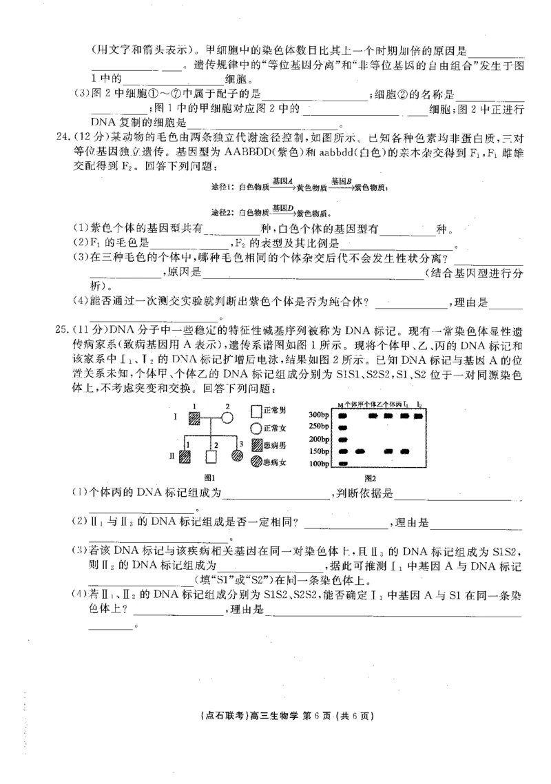 生物试卷-辽宁点石联考2025-2026学年高三10月联合考试_2025年10月_251012辽宁省点石联考2025-2026学年度上学期高三10月份联合考试（全科）_辽宁点石联考2025-2026学年高三10月联合考试生物
