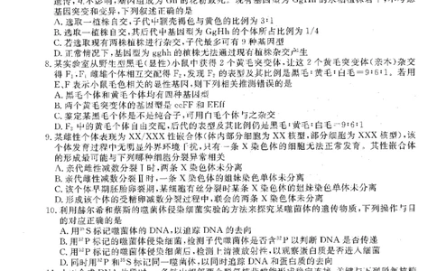 生物试卷-辽宁点石联考2025-2026学年高三10月联合考试_2025年10月_251012辽宁省点石联考2025-2026学年度上学期高三10月份联合考试（全科）_辽宁点石联考2025-2026学年高三10月联合考试生物