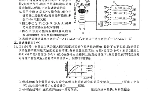 生物试卷-辽宁点石联考2025-2026学年高三10月联合考试_2025年10月_251012辽宁省点石联考2025-2026学年度上学期高三10月份联合考试（全科）_辽宁点石联考2025-2026学年高三10月联合考试生物