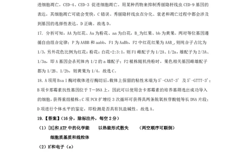 生物答案_2025年1月_250108湖北省部分市州2025年元月高三期末联考（全科）_湖北省部分市州2025年元月高三期末联考生物