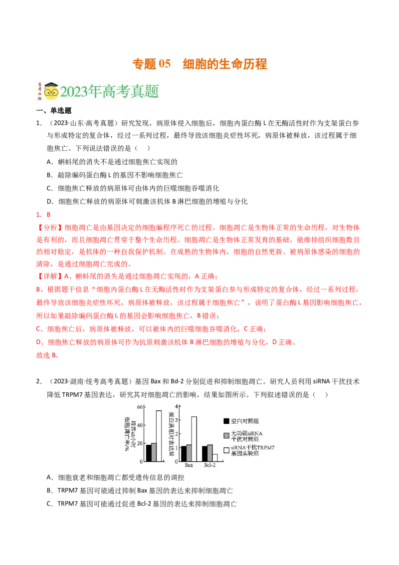 专题05细胞的生命历程（解析卷）_近10年高考真题汇编（必刷）_十年（2014-2024）高考生物真题分项汇编（全国通用）_2023年高考真题和模拟题生物分项汇编（全国通用）