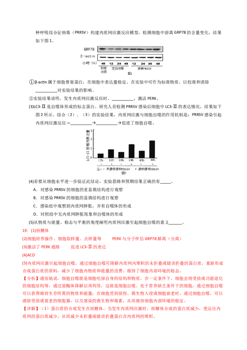 专题05细胞的生命历程（解析卷）_近10年高考真题汇编（必刷）_十年（2014-2024）高考生物真题分项汇编（全国通用）_2023年高考真题和模拟题生物分项汇编（全国通用）