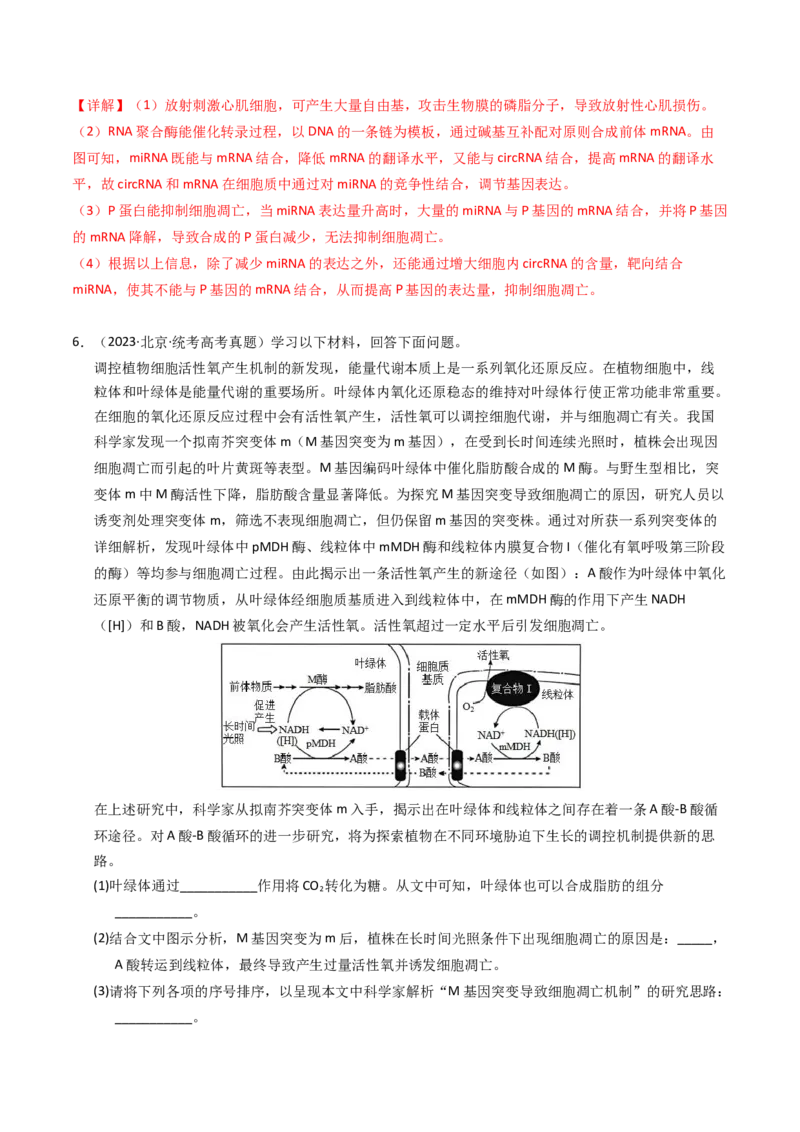 专题05细胞的生命历程（解析卷）_近10年高考真题汇编（必刷）_十年（2014-2024）高考生物真题分项汇编（全国通用）_2023年高考真题和模拟题生物分项汇编（全国通用）