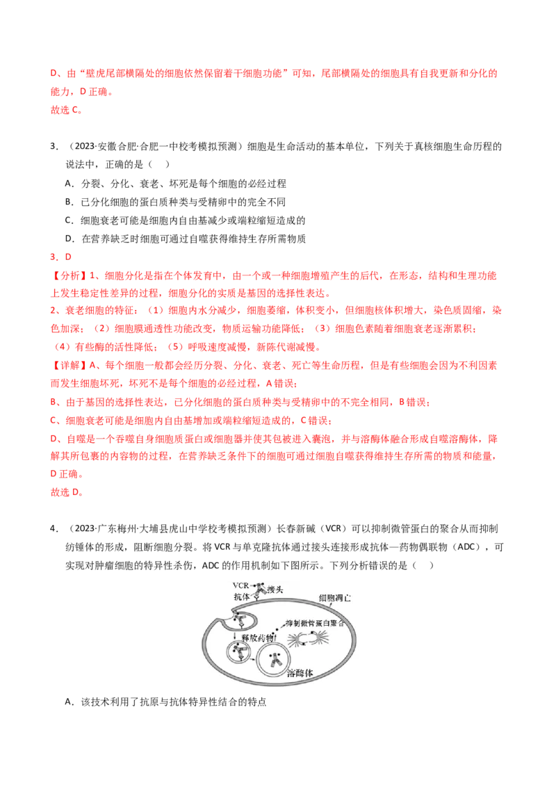 专题05细胞的生命历程（解析卷）_近10年高考真题汇编（必刷）_十年（2014-2024）高考生物真题分项汇编（全国通用）_2023年高考真题和模拟题生物分项汇编（全国通用）