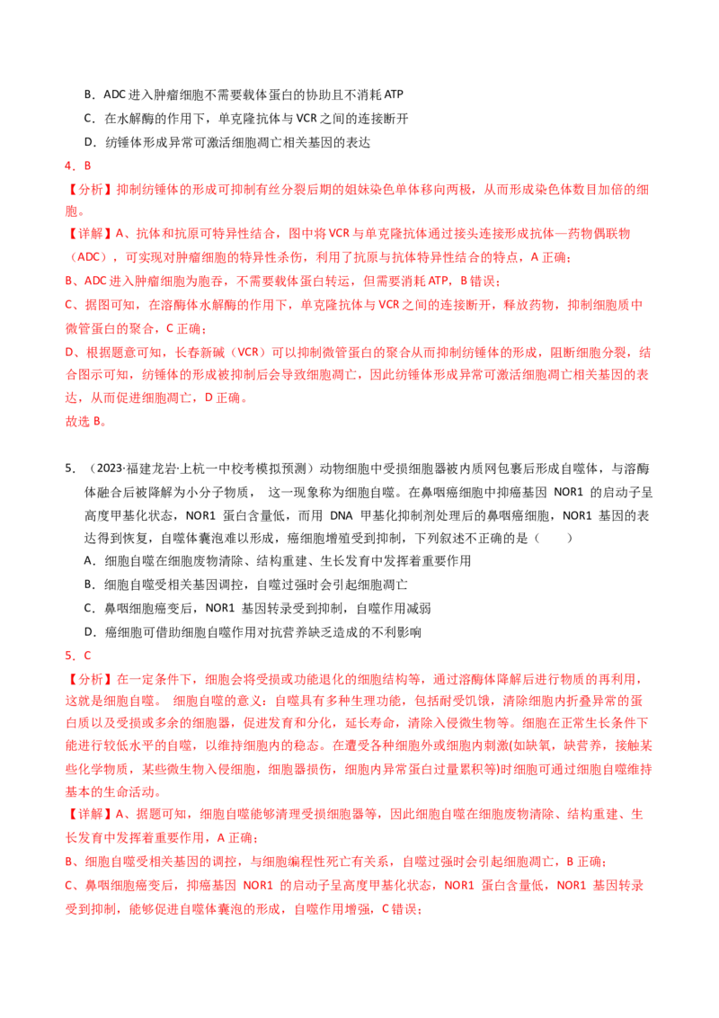 专题05细胞的生命历程（解析卷）_近10年高考真题汇编（必刷）_十年（2014-2024）高考生物真题分项汇编（全国通用）_2023年高考真题和模拟题生物分项汇编（全国通用）