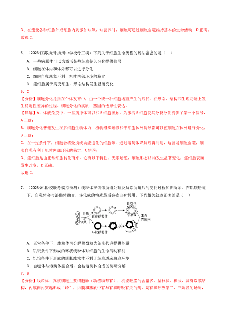 专题05细胞的生命历程（解析卷）_近10年高考真题汇编（必刷）_十年（2014-2024）高考生物真题分项汇编（全国通用）_2023年高考真题和模拟题生物分项汇编（全国通用）
