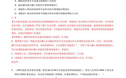 专题05细胞的生命历程（解析卷）_近10年高考真题汇编（必刷）_十年（2014-2024）高考生物真题分项汇编（全国通用）_2023年高考真题和模拟题生物分项汇编（全国通用）