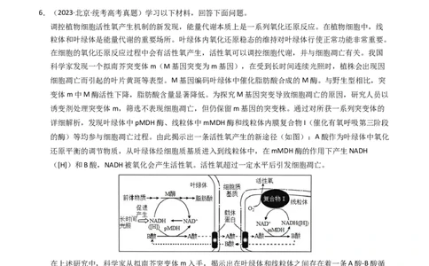 专题05细胞的生命历程（解析卷）_近10年高考真题汇编（必刷）_十年（2014-2024）高考生物真题分项汇编（全国通用）_2023年高考真题和模拟题生物分项汇编（全国通用）