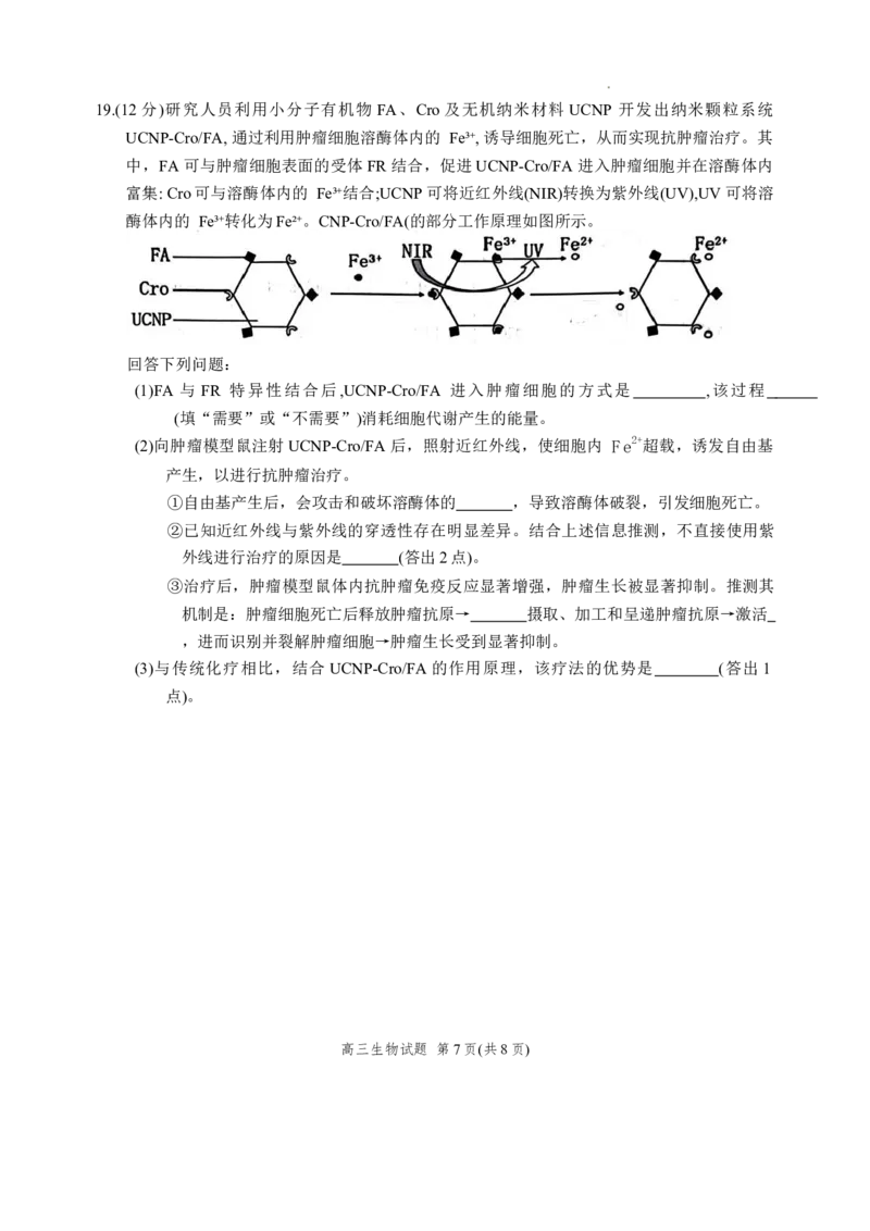 福建省泉州市2026届高三上学期质量监测（一）生物试题（含答案）_2025年9月_250917福建省泉州市2026届高三上学期质量监测（一）（全科）