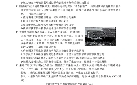 福建省泉州市2026届高三上学期质量监测（一）生物试题（含答案）_2025年9月_250917福建省泉州市2026届高三上学期质量监测（一）（全科）
