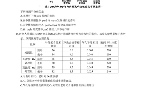 福建省泉州市2026届高三上学期质量监测（一）生物试题（含答案）_2025年9月_250917福建省泉州市2026届高三上学期质量监测（一）（全科）