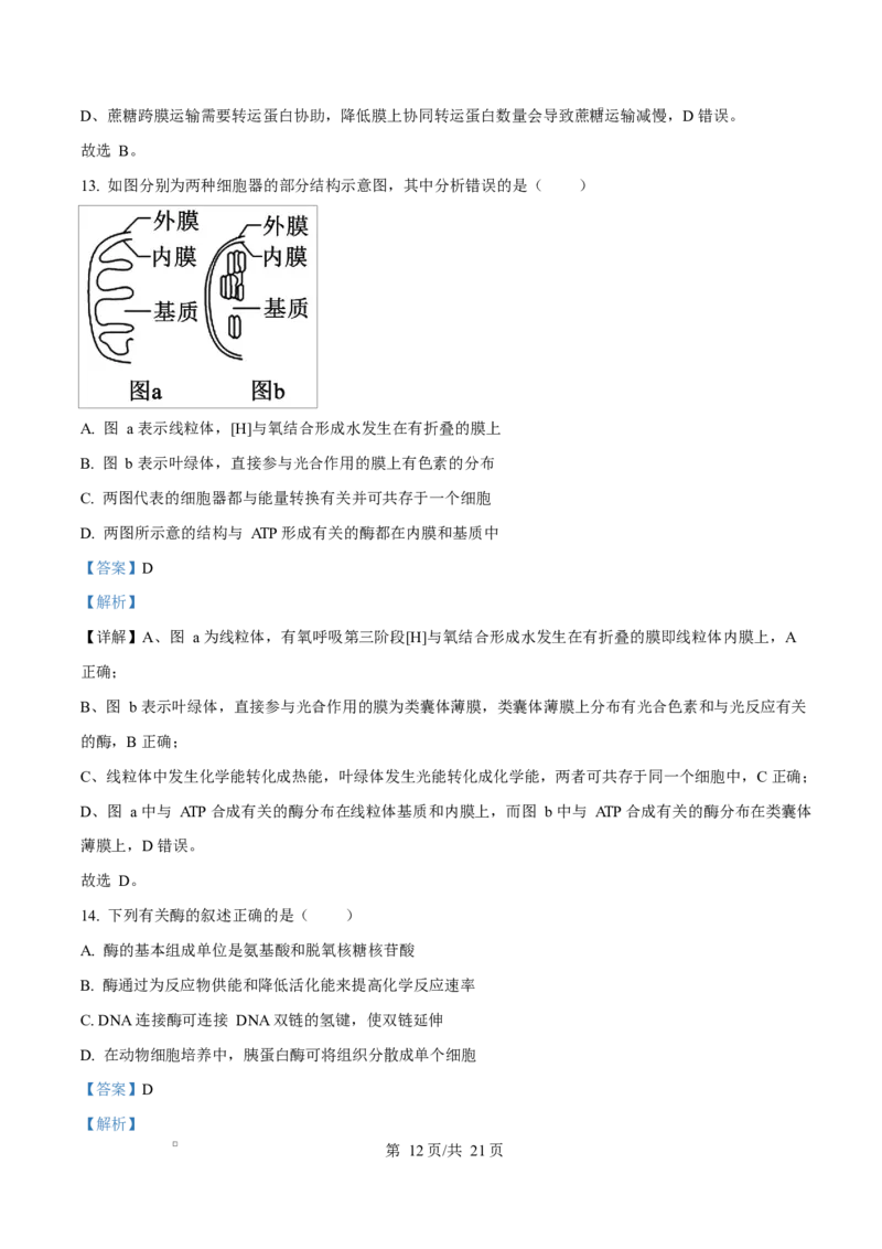 天津市南开大学附中2025年高三上学期第一次阶段检测+生物答案_2025年10月_251002天津市南开大学附中2025年高三上学期第一次阶段检测（全科）