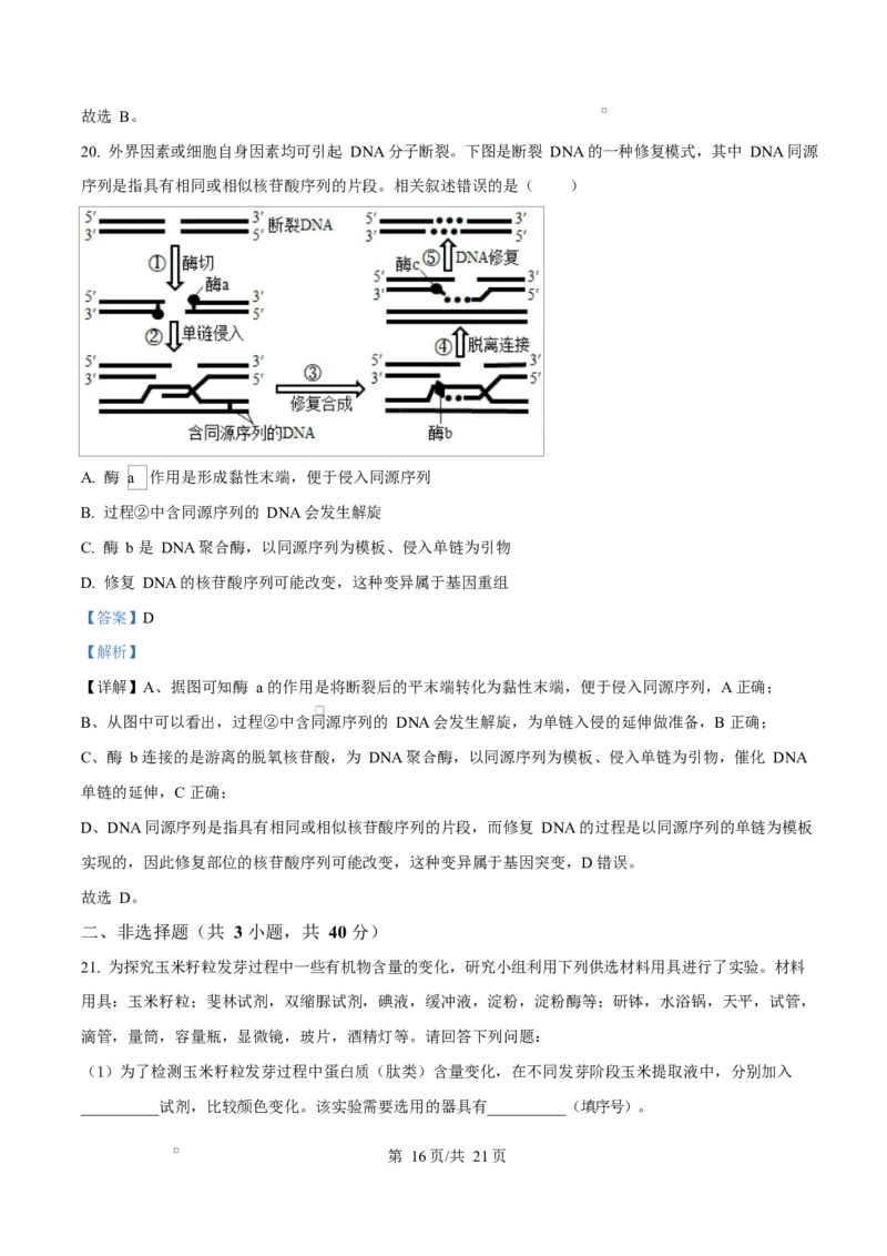 天津市南开大学附中2025年高三上学期第一次阶段检测+生物答案_2025年10月_251002天津市南开大学附中2025年高三上学期第一次阶段检测（全科）