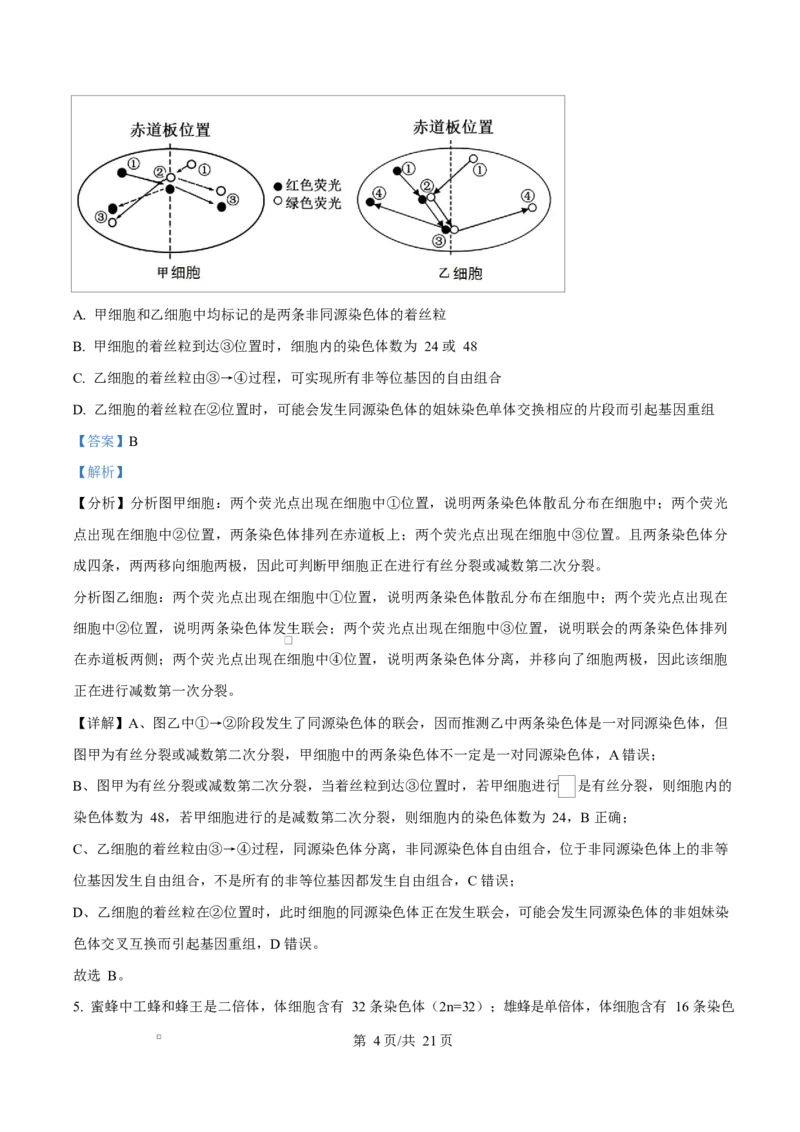 天津市南开大学附中2025年高三上学期第一次阶段检测+生物答案_2025年10月_251002天津市南开大学附中2025年高三上学期第一次阶段检测（全科）