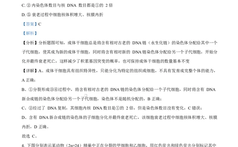 天津市南开大学附中2025年高三上学期第一次阶段检测+生物答案_2025年10月_251002天津市南开大学附中2025年高三上学期第一次阶段检测（全科）