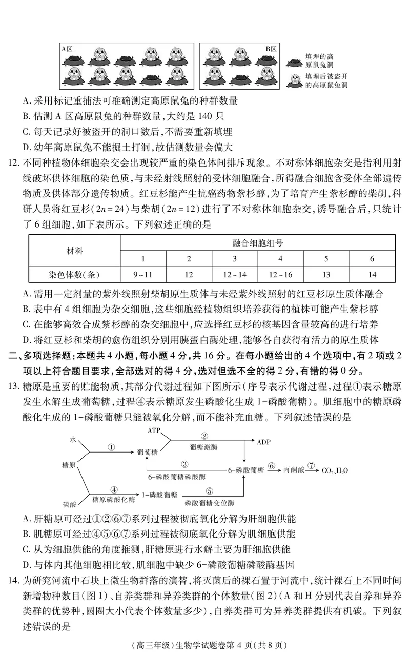 江西省重点中学盟校2024-2025年高三第二次联考生物_2025年5月_250506江西省重点中学盟校2024-2025年高三第二次联考（全科）_江西省重点中学盟校2024-2025年高三第二次联考生物