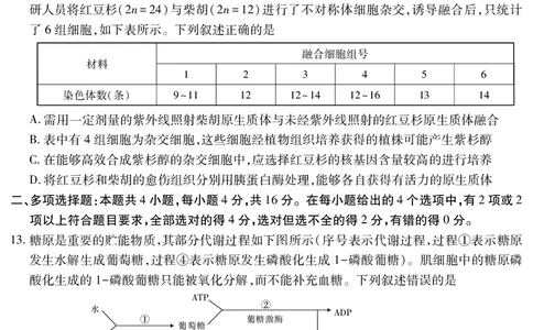 江西省重点中学盟校2024-2025年高三第二次联考生物_2025年5月_250506江西省重点中学盟校2024-2025年高三第二次联考（全科）_江西省重点中学盟校2024-2025年高三第二次联考生物