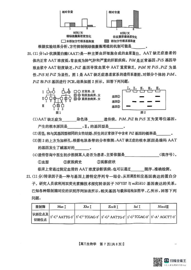 生物_2025年3月_2503092025届贵州省安顺市高三下学期3月二模联考（金太阳359C（全科）_2025届贵州省安顺市高三下学期3月二模联考生物