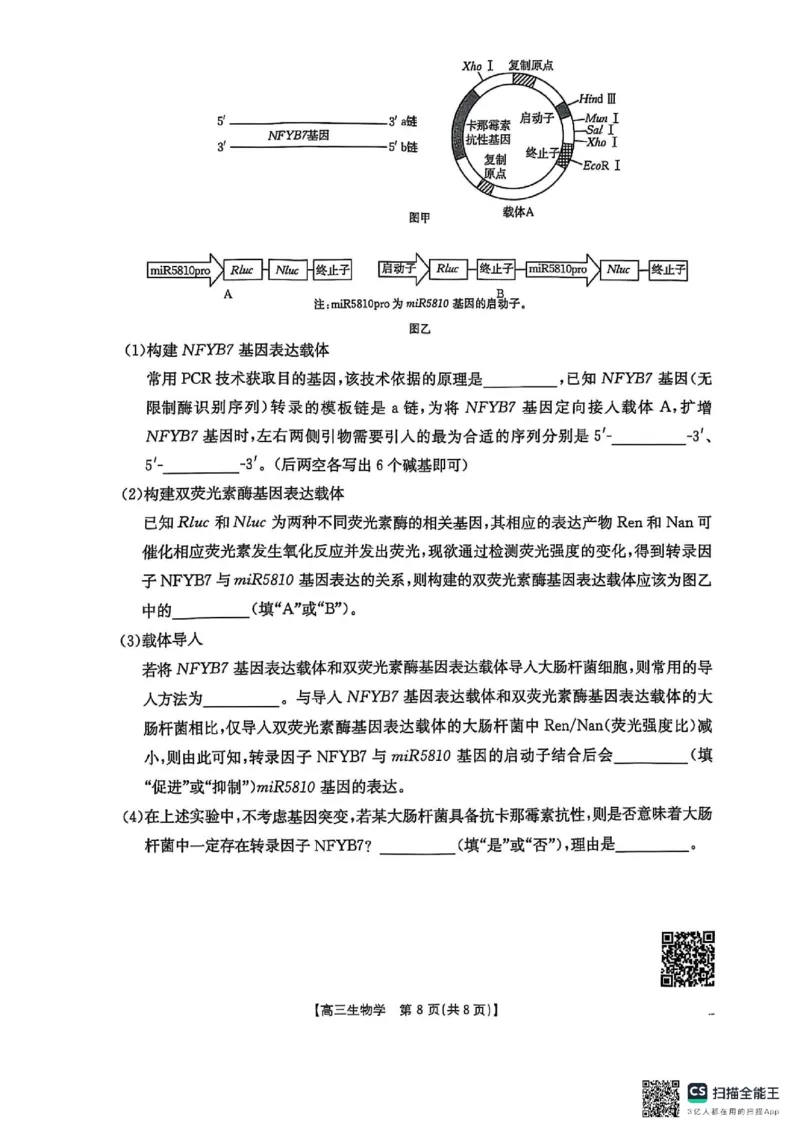 生物_2025年3月_2503092025届贵州省安顺市高三下学期3月二模联考（金太阳359C（全科）_2025届贵州省安顺市高三下学期3月二模联考生物