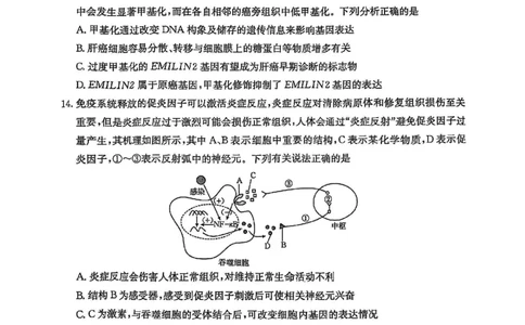 生物_2025年3月_2503092025届贵州省安顺市高三下学期3月二模联考（金太阳359C（全科）_2025届贵州省安顺市高三下学期3月二模联考生物
