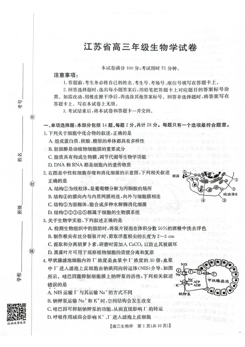 江苏省徐州市部分学校2025-2026学年高三上学期月考生物试卷_2025年10月_251016江苏省金太阳2025-2026学年高三10月联考（67C）_江苏省金太阳2025-2026学年高三10月联考生物试题（含答案）