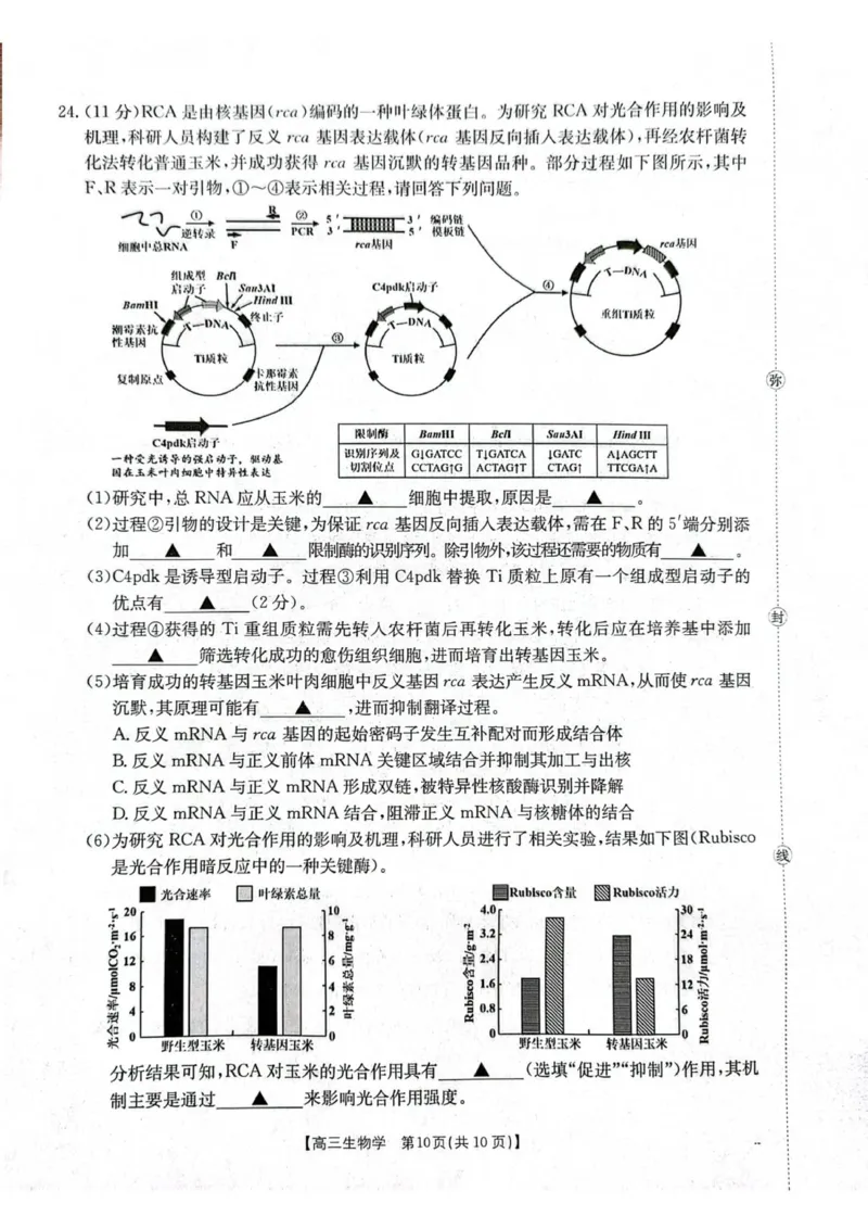 江苏省徐州市部分学校2025-2026学年高三上学期月考生物试卷_2025年10月_251016江苏省金太阳2025-2026学年高三10月联考（67C）_江苏省金太阳2025-2026学年高三10月联考生物试题（含答案）
