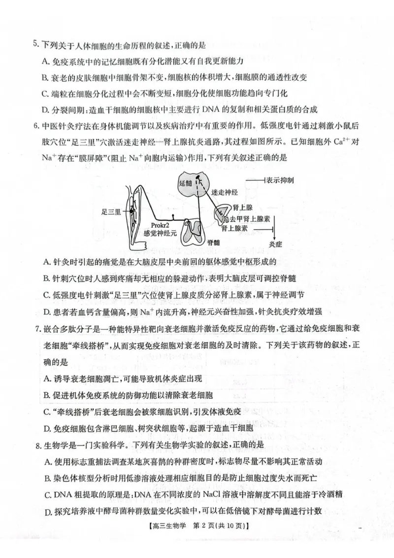 江苏省徐州市部分学校2025-2026学年高三上学期月考生物试卷_2025年10月_251016江苏省金太阳2025-2026学年高三10月联考（67C）_江苏省金太阳2025-2026学年高三10月联考生物试题（含答案）