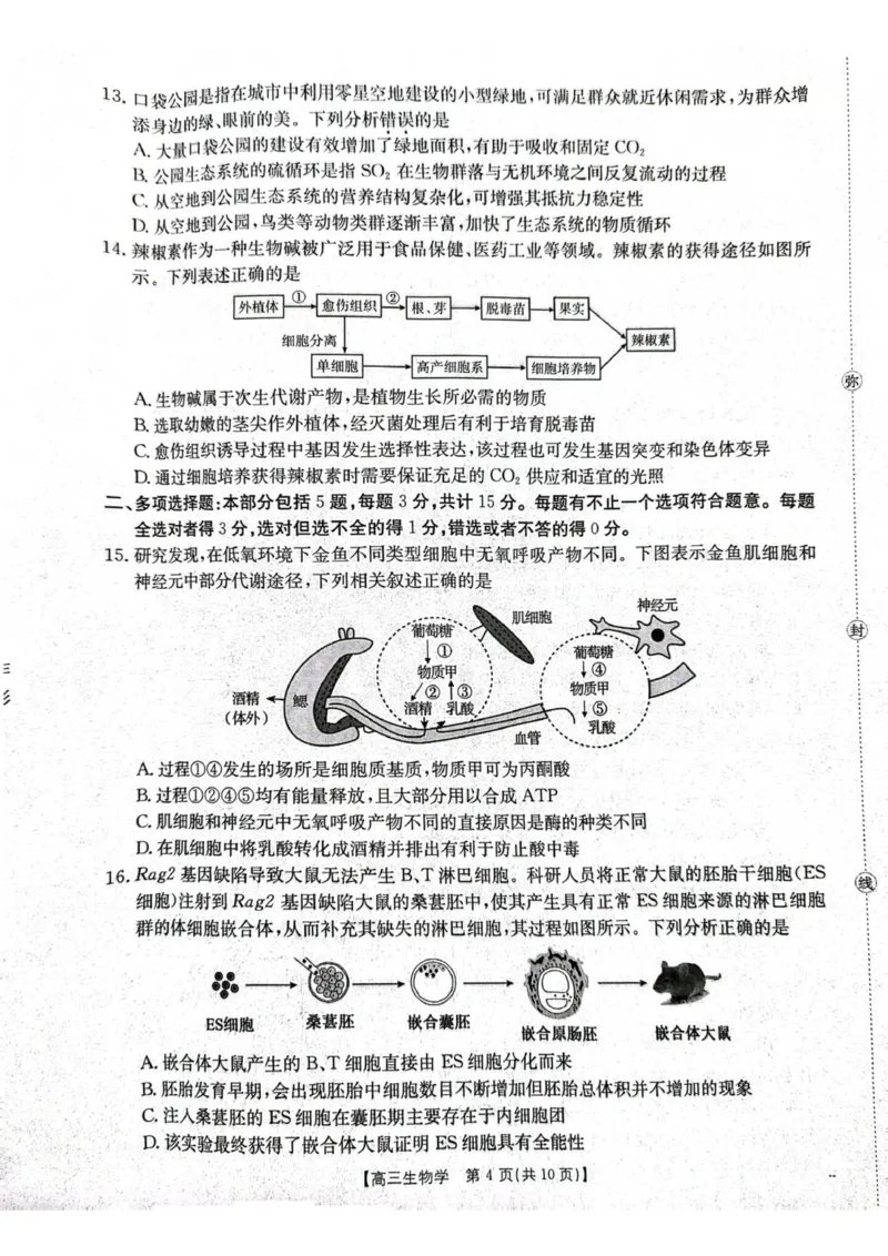 江苏省徐州市部分学校2025-2026学年高三上学期月考生物试卷_2025年10月_251016江苏省金太阳2025-2026学年高三10月联考（67C）_江苏省金太阳2025-2026学年高三10月联考生物试题（含答案）