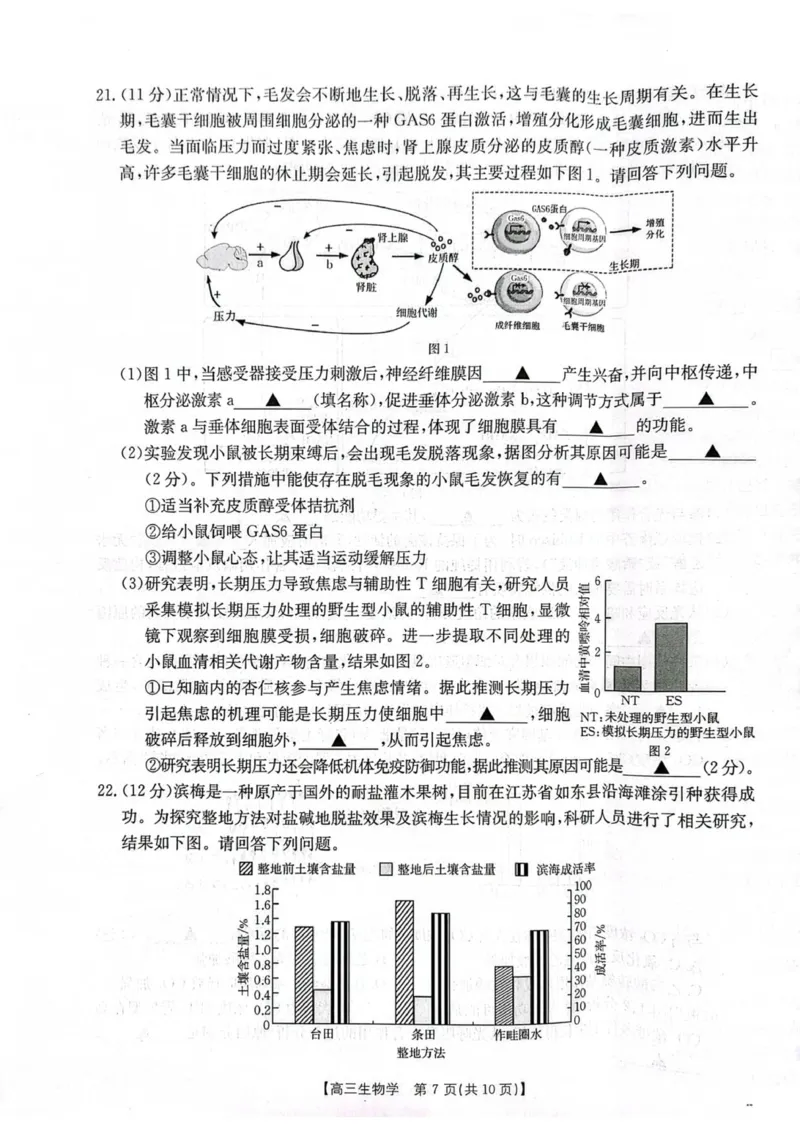 江苏省徐州市部分学校2025-2026学年高三上学期月考生物试卷_2025年10月_251016江苏省金太阳2025-2026学年高三10月联考（67C）_江苏省金太阳2025-2026学年高三10月联考生物试题（含答案）