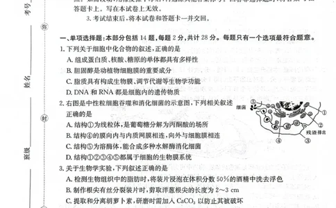 江苏省徐州市部分学校2025-2026学年高三上学期月考生物试卷_2025年10月_251016江苏省金太阳2025-2026学年高三10月联考（67C）_江苏省金太阳2025-2026学年高三10月联考生物试题（含答案）
