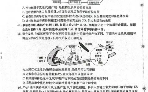 江苏省徐州市部分学校2025-2026学年高三上学期月考生物试卷_2025年10月_251016江苏省金太阳2025-2026学年高三10月联考（67C）_江苏省金太阳2025-2026学年高三10月联考生物试题（含答案）