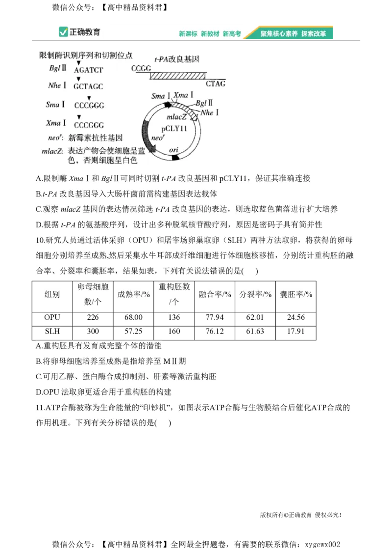 2024届明日之星高考生物精英模拟卷黑吉辽版_2024高考押题卷_72024正确教育全系列_2024明日之星全系列_（新高考）2024《明日之星&middot;高考精英模拟卷》（九科全）各一套