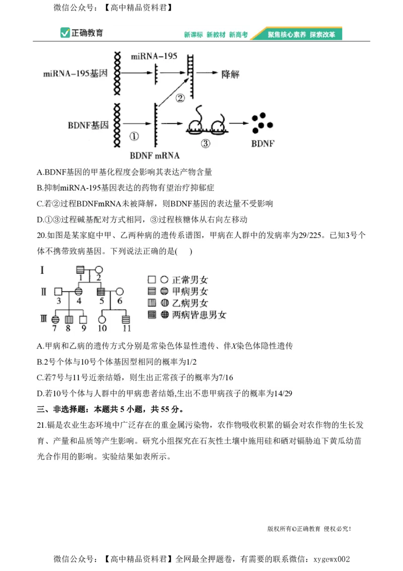 2024届明日之星高考生物精英模拟卷黑吉辽版_2024高考押题卷_72024正确教育全系列_2024明日之星全系列_（新高考）2024《明日之星&middot;高考精英模拟卷》（九科全）各一套