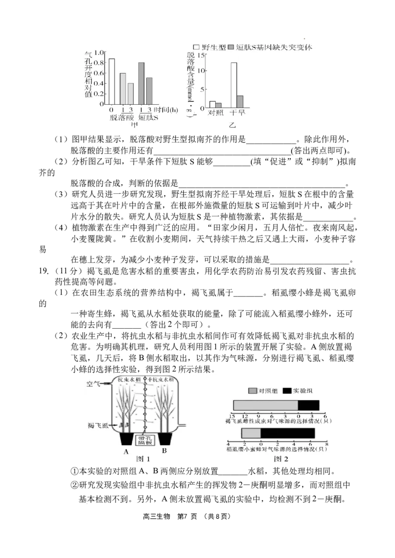 海南省文昌中学2024-2025学年高三下学期第五次月考（4月）生物_2025年4月_250424海南省文昌中学2024-2025学年高三下学期第五次月考（4月）（全科）