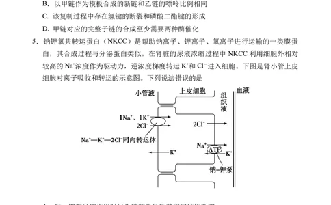 海南省文昌中学2024-2025学年高三下学期第五次月考（4月）生物_2025年4月_250424海南省文昌中学2024-2025学年高三下学期第五次月考（4月）（全科）