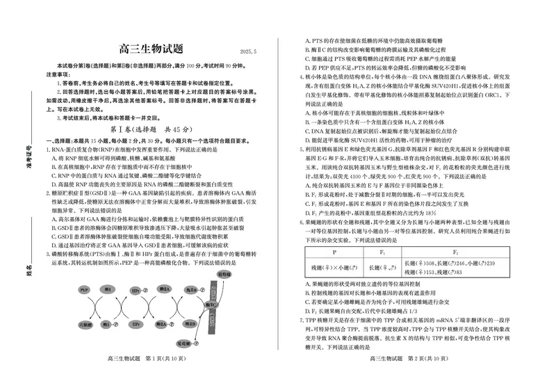 德州高三生物试题_2025年5月_250528山东省德州市2025届高三年级第三次适应性检测（德州三模）（全科）_山东省德州市2025届高三年级第三次适应性检测（德州三模）生物
