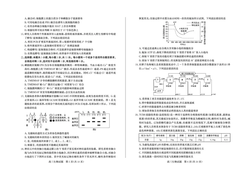 德州高三生物试题_2025年5月_250528山东省德州市2025届高三年级第三次适应性检测（德州三模）（全科）_山东省德州市2025届高三年级第三次适应性检测（德州三模）生物