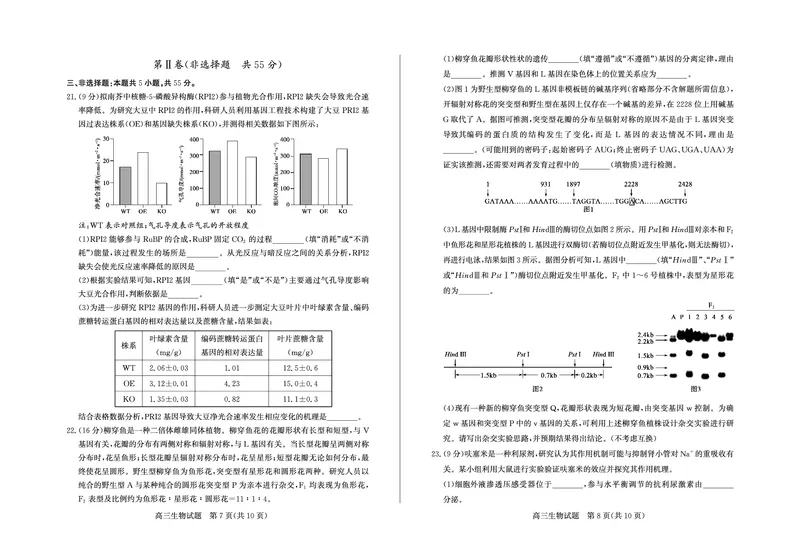 德州高三生物试题_2025年5月_250528山东省德州市2025届高三年级第三次适应性检测（德州三模）（全科）_山东省德州市2025届高三年级第三次适应性检测（德州三模）生物