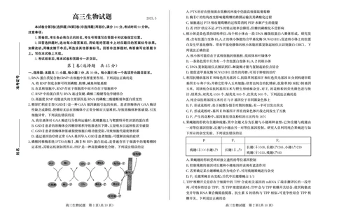 德州高三生物试题_2025年5月_250528山东省德州市2025届高三年级第三次适应性检测（德州三模）（全科）_山东省德州市2025届高三年级第三次适应性检测（德州三模）生物