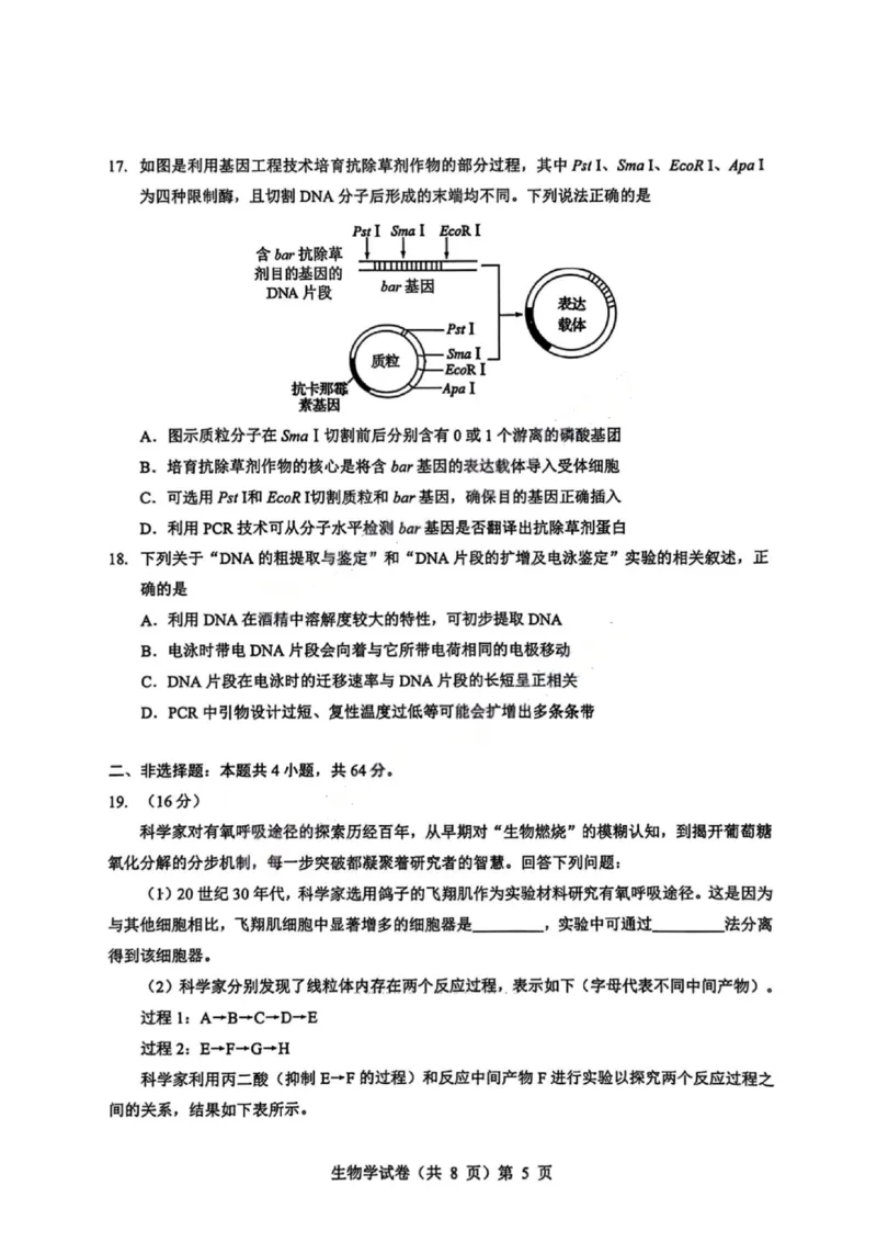 生物试卷_2025年9月_250907湖北省楚天协作体2025-2026学年高三上学期开学（全科）_湖北省楚天协作体2025-2026学年高三上学期9月起点考试生物