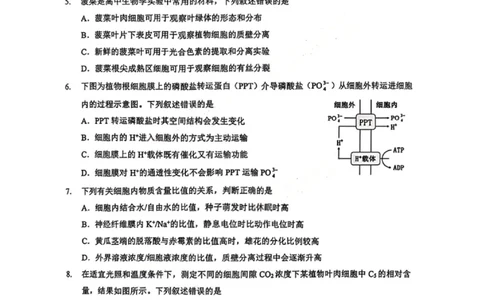生物试卷_2025年9月_250907湖北省楚天协作体2025-2026学年高三上学期开学（全科）_湖北省楚天协作体2025-2026学年高三上学期9月起点考试生物