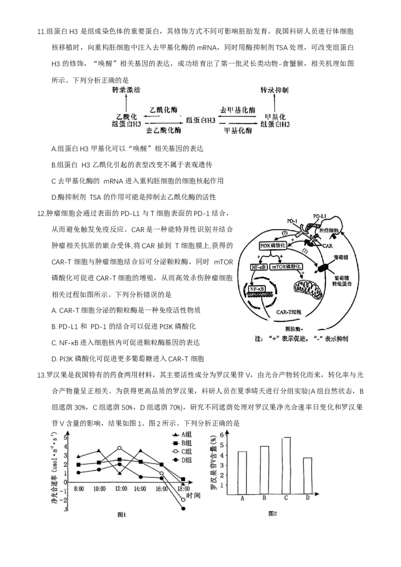 福建省莆田市2025届高中毕业班第二次教学质量检测生物学试卷（有答案）_2025年3月_250309福建省莆田市2025届高中毕业班第二次教学质量检测（全科）