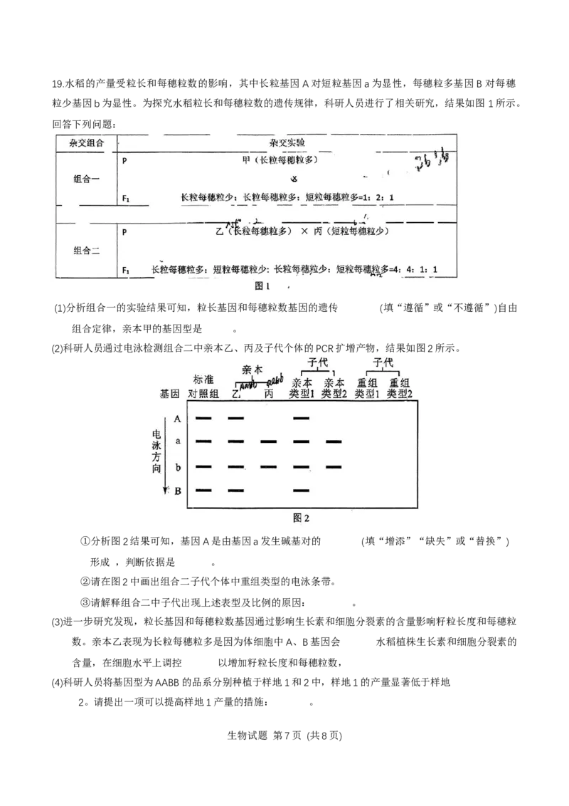 福建省莆田市2025届高中毕业班第二次教学质量检测生物学试卷（有答案）_2025年3月_250309福建省莆田市2025届高中毕业班第二次教学质量检测（全科）