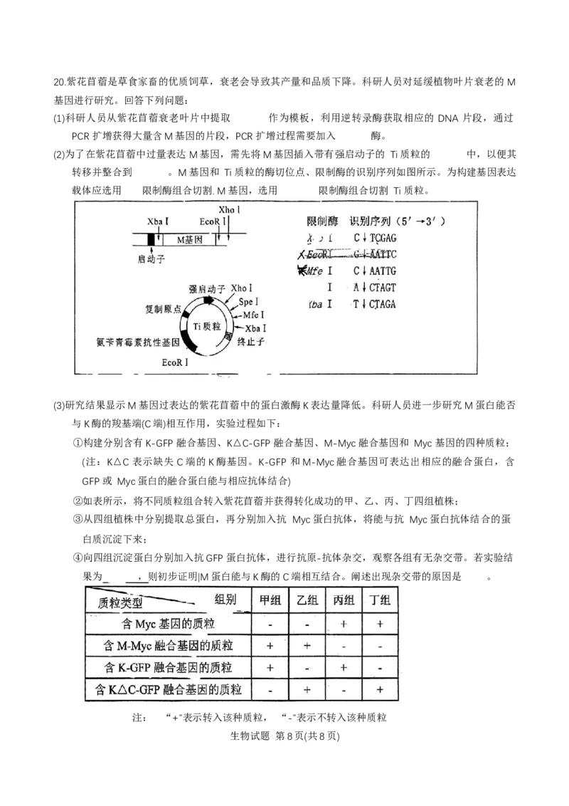 福建省莆田市2025届高中毕业班第二次教学质量检测生物学试卷（有答案）_2025年3月_250309福建省莆田市2025届高中毕业班第二次教学质量检测（全科）