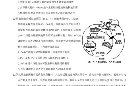 福建省莆田市2025届高中毕业班第二次教学质量检测生物学试卷（有答案）_2025年3月_250309福建省莆田市2025届高中毕业班第二次教学质量检测（全科）