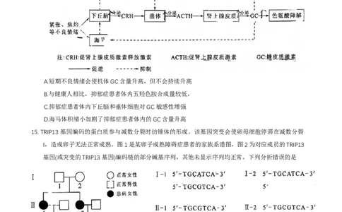 福建省莆田市2025届高中毕业班第二次教学质量检测生物学试卷（有答案）_2025年3月_250309福建省莆田市2025届高中毕业班第二次教学质量检测（全科）