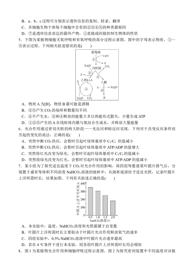 十月月考生物试卷_2025年11月_251104湖北省荆州中学2025-2026学年高三上学期10月月考（全科）_湖北省荆州中学2025-2026学年高三上学期10月月考生物试卷（含答案）