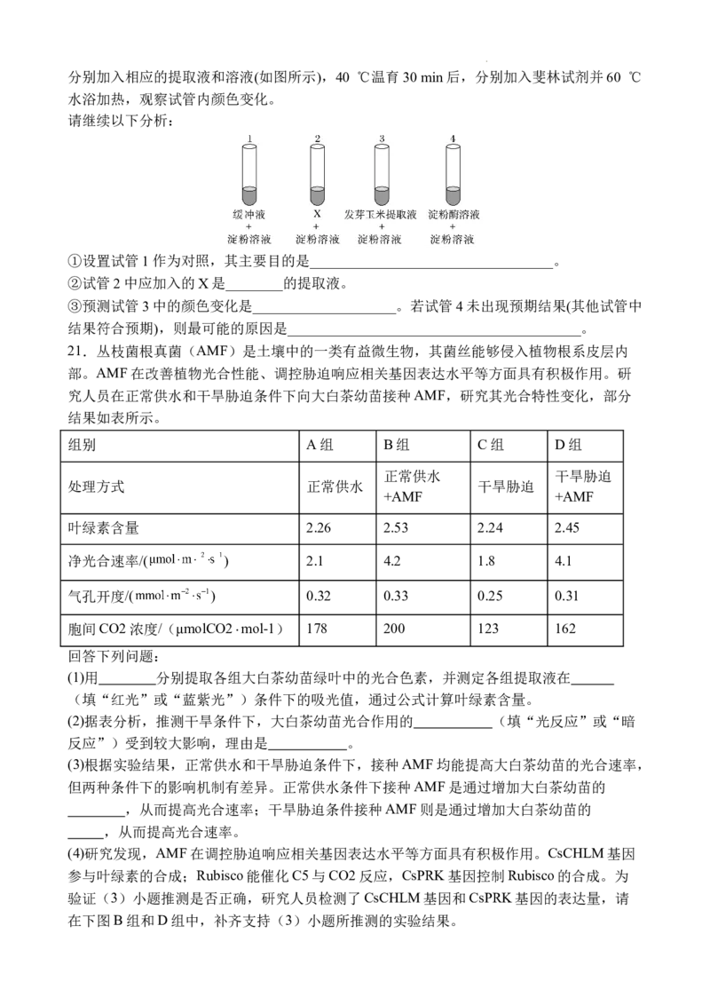 十月月考生物试卷_2025年11月_251104湖北省荆州中学2025-2026学年高三上学期10月月考（全科）_湖北省荆州中学2025-2026学年高三上学期10月月考生物试卷（含答案）