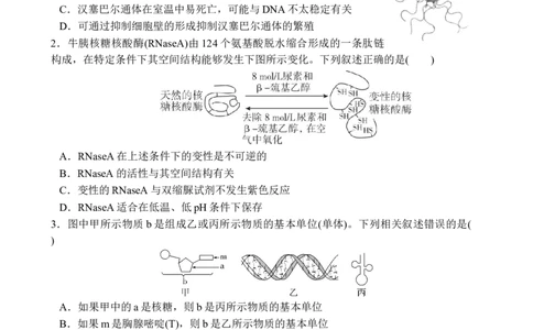 十月月考生物试卷_2025年11月_251104湖北省荆州中学2025-2026学年高三上学期10月月考（全科）_湖北省荆州中学2025-2026学年高三上学期10月月考生物试卷（含答案）