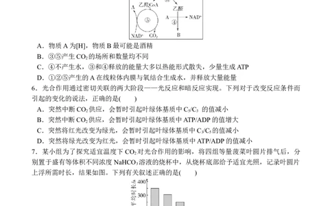 十月月考生物试卷_2025年11月_251104湖北省荆州中学2025-2026学年高三上学期10月月考（全科）_湖北省荆州中学2025-2026学年高三上学期10月月考生物试卷（含答案）